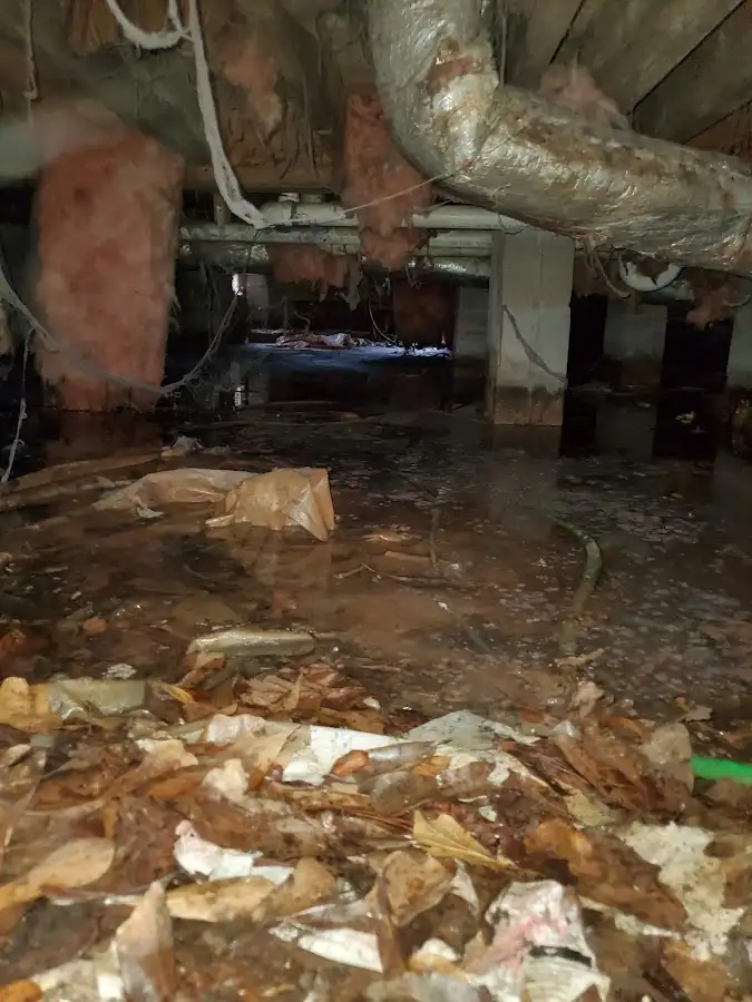Crawl space flood assessment for Commercial Water Damage Restoration in Harvey