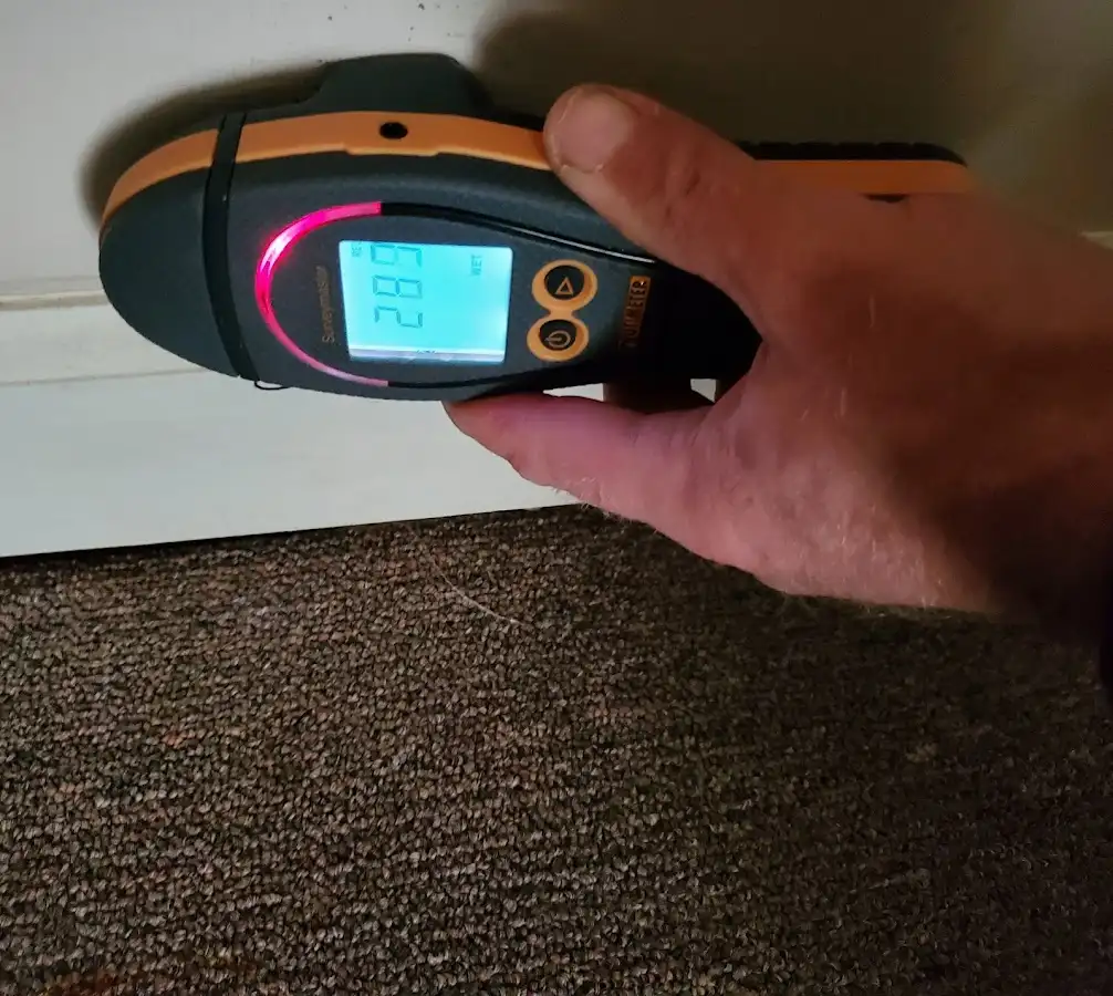 Moisture detection at baseboard during Sewage Cleanup & Sanitation in Harvey